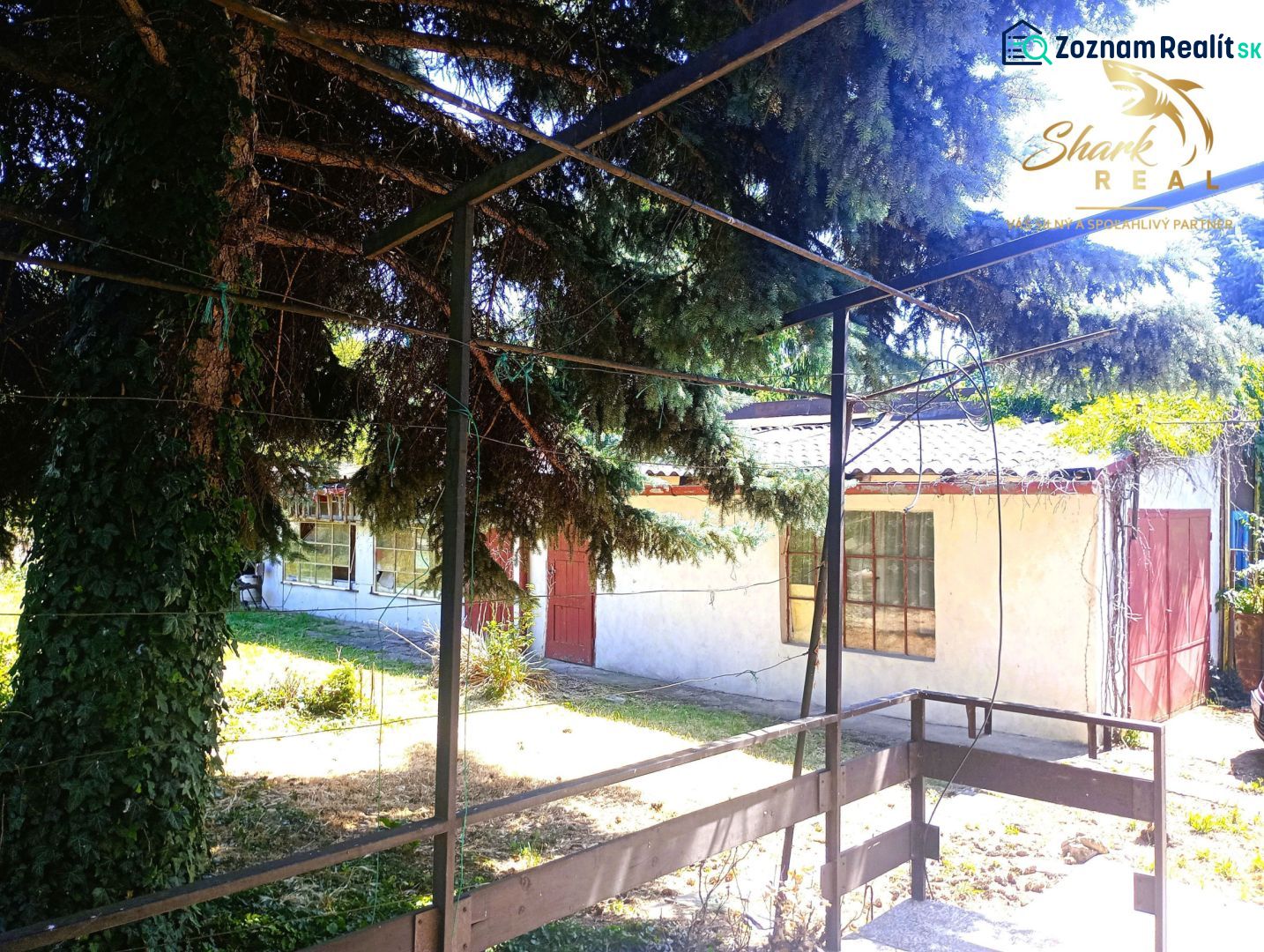 Fotografia 9