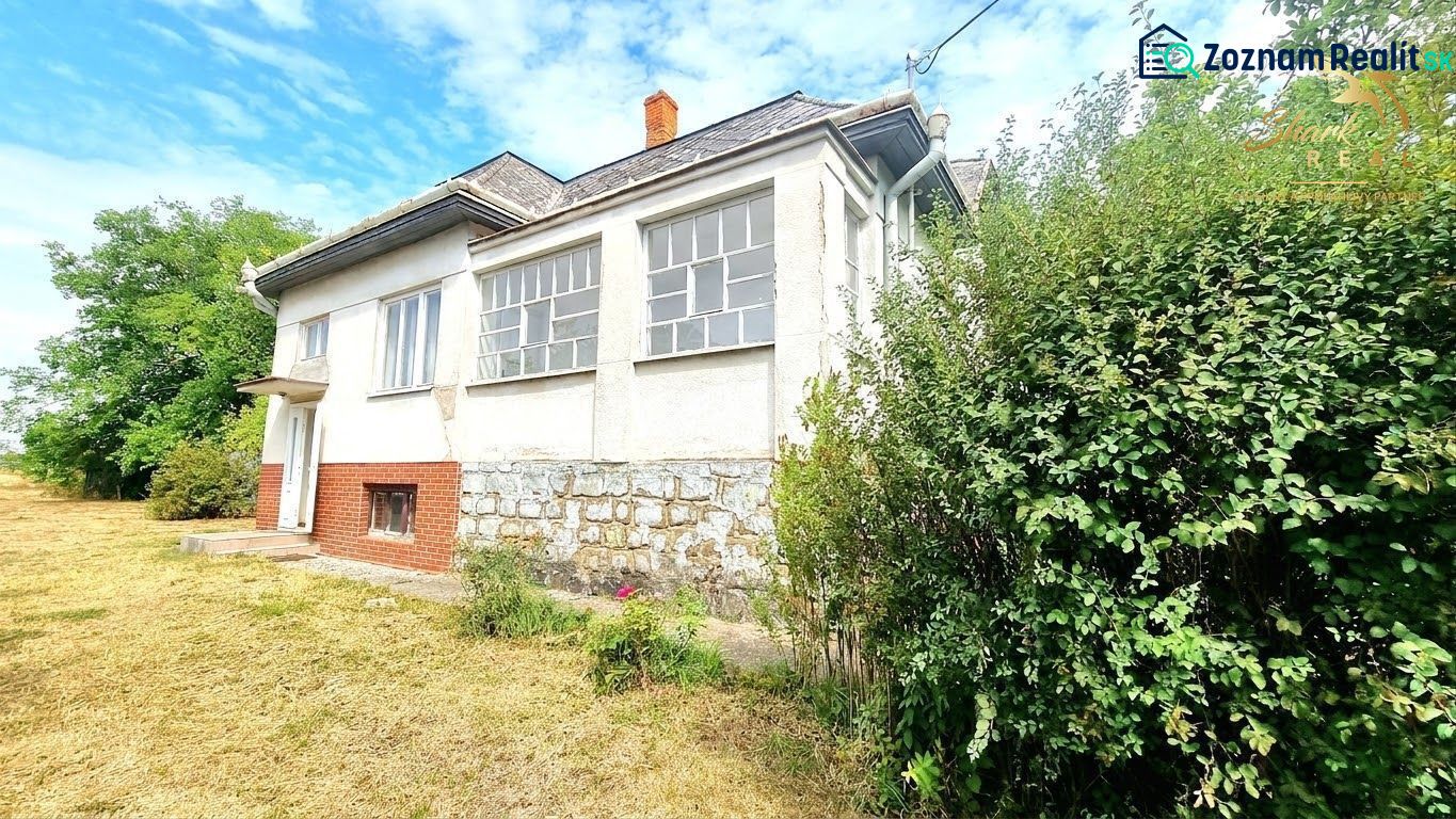 Fotografia 3