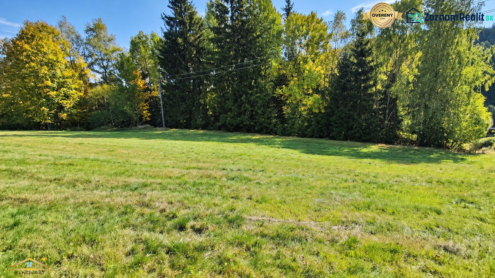 Fotografia 5