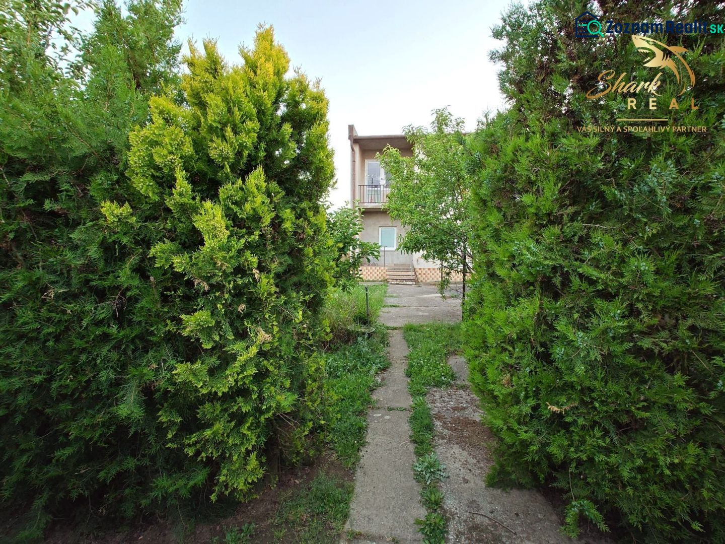 Fotografia 5