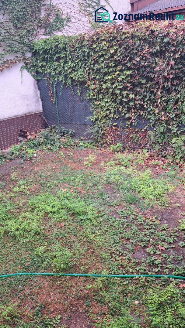 Fotografia 9