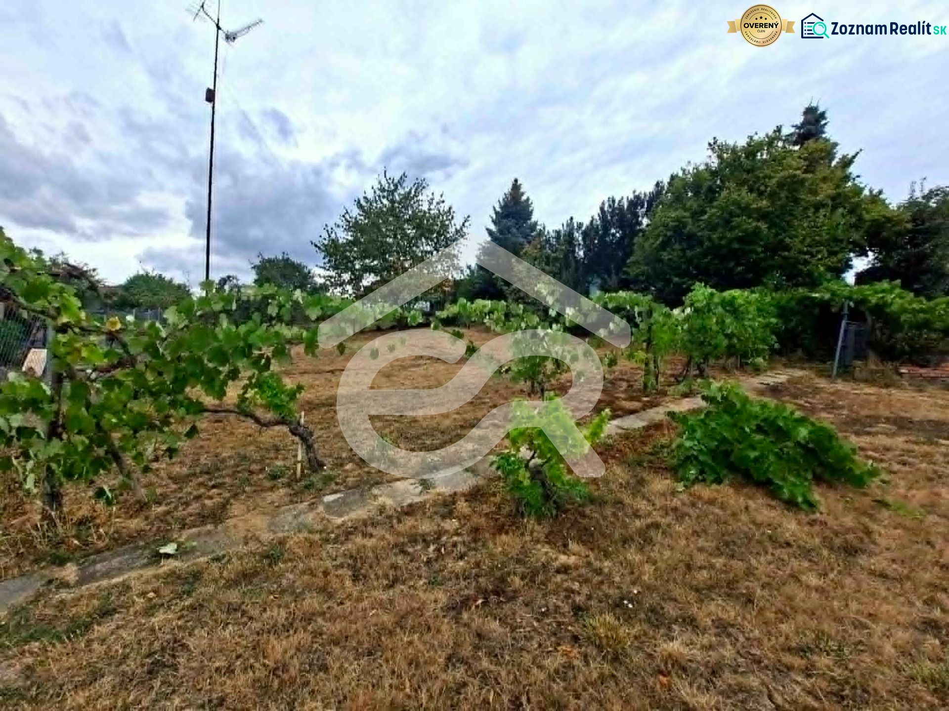 Fotografia 7