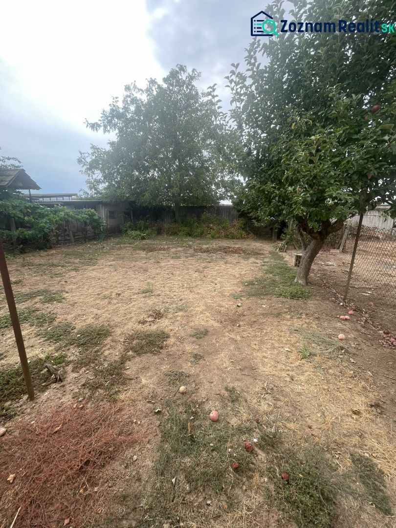 Fotografia 18
