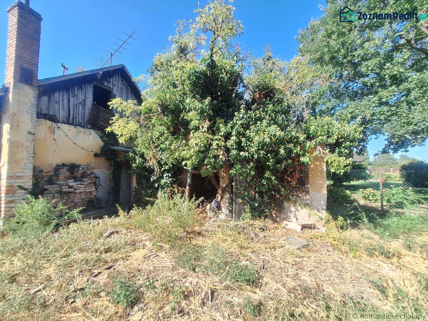 Fotografia 3