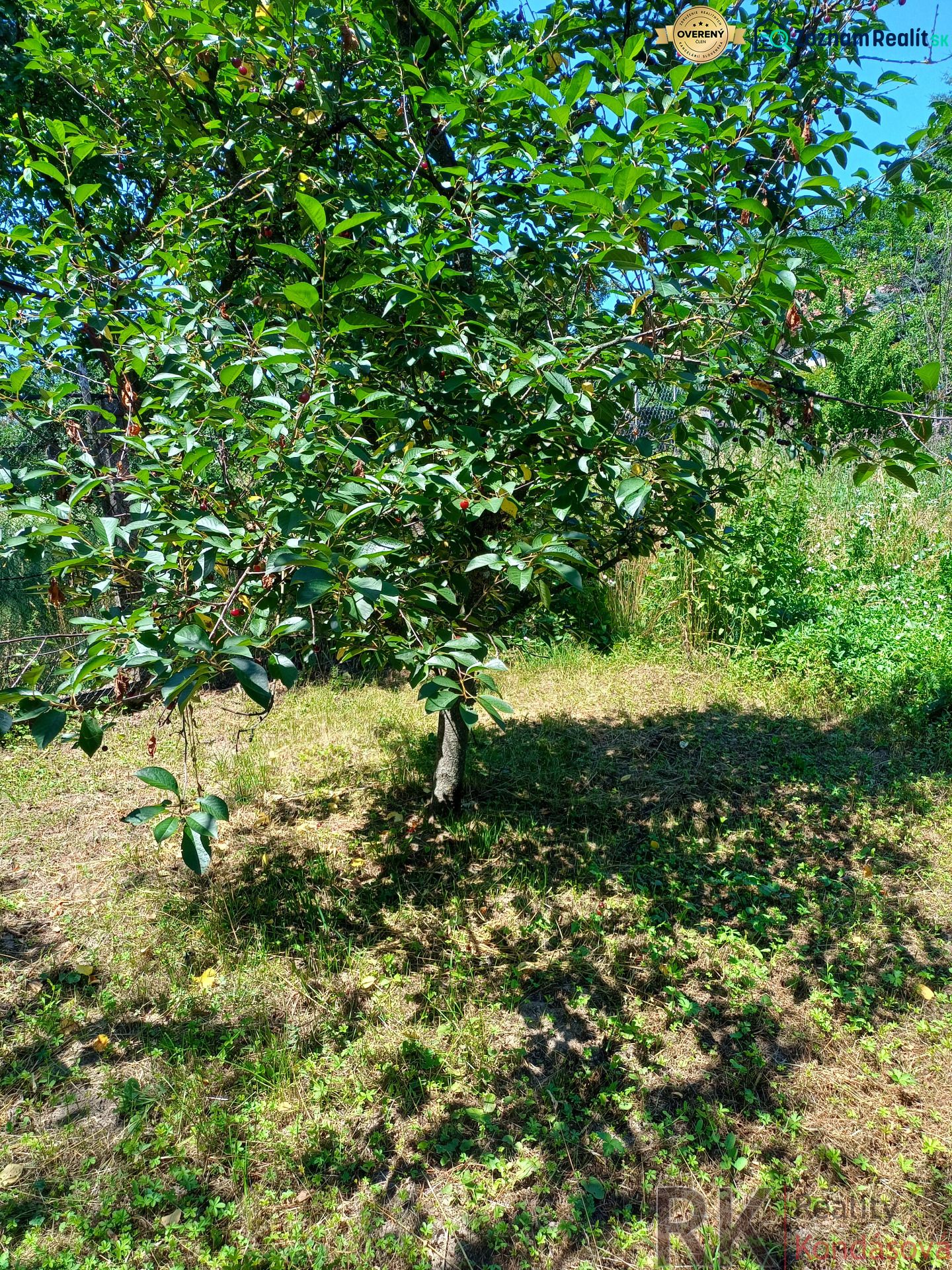 Fotografia 15
