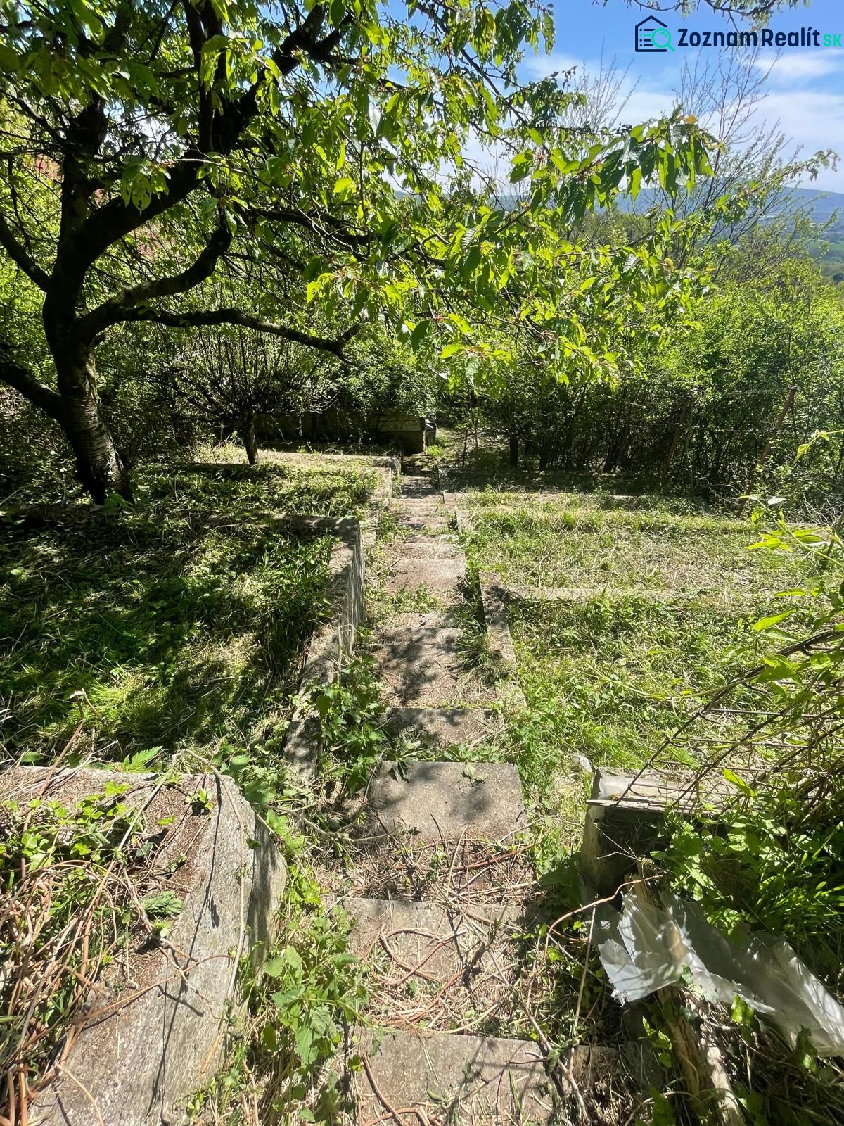 Fotografia 10