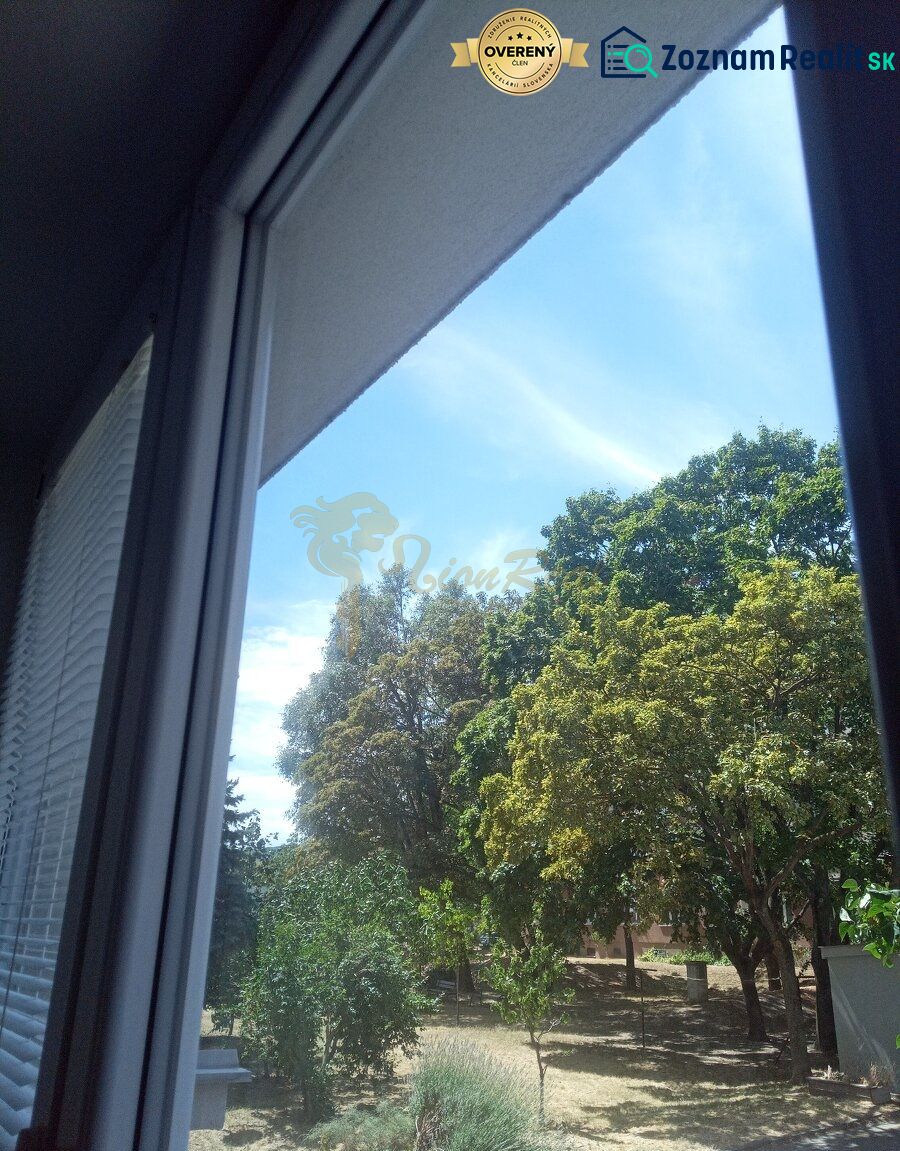 Fotografia 5