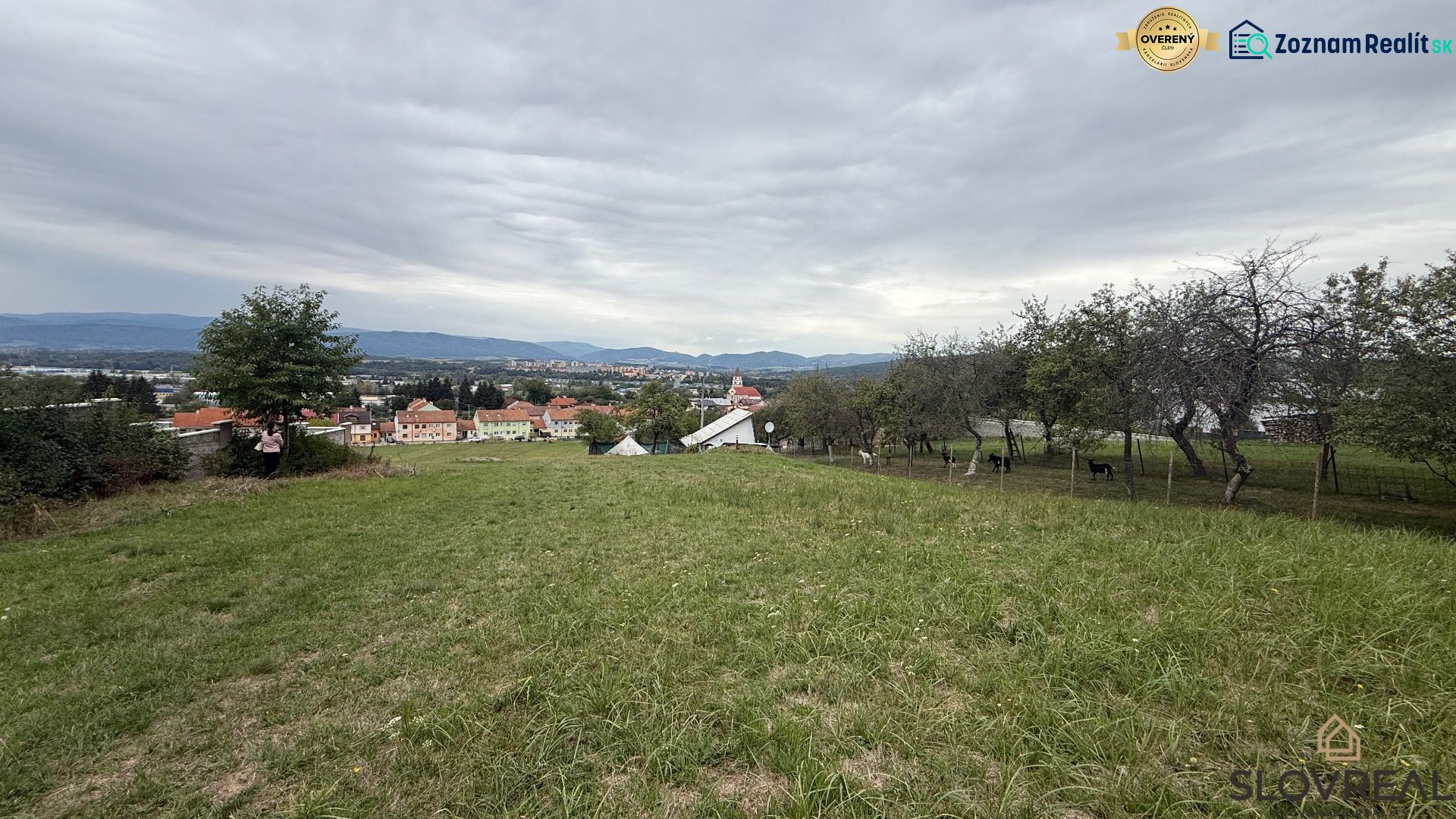 Fotografia 5