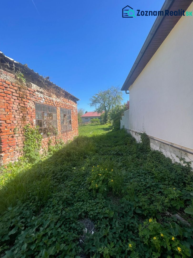 Fotografia 6