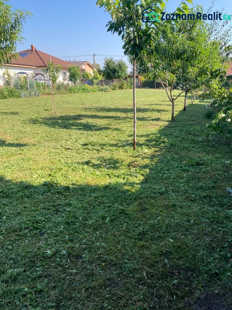 Fotografia 3