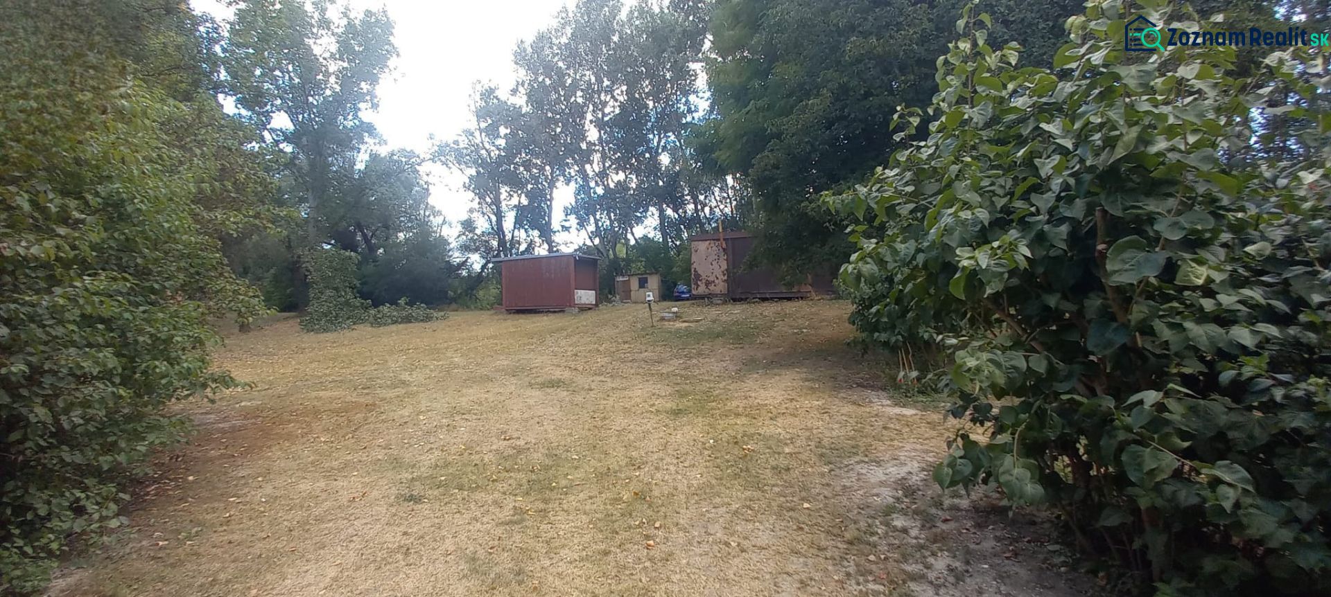 Fotografia 3