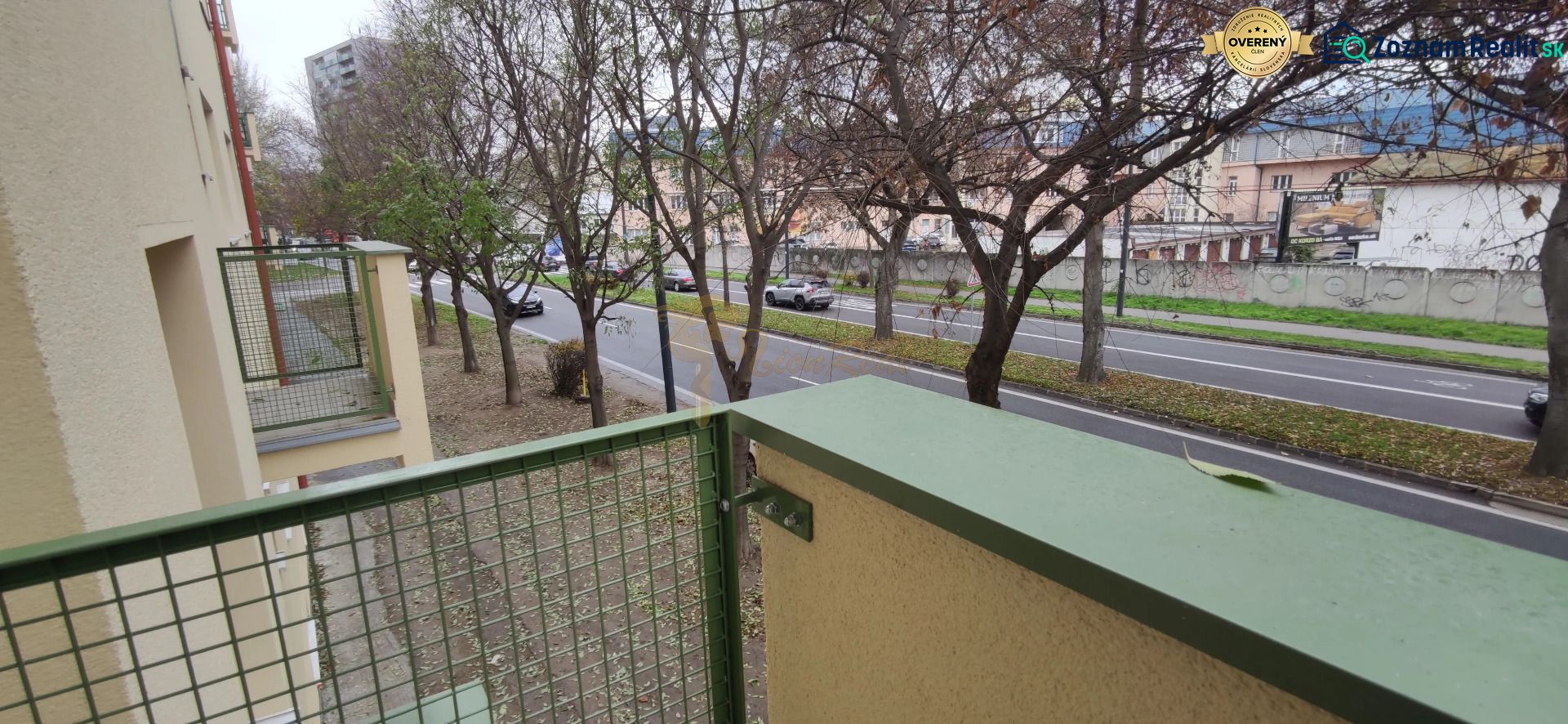 Fotografia 11