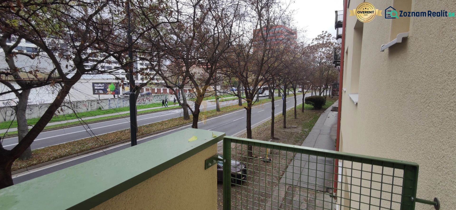 Fotografia 7