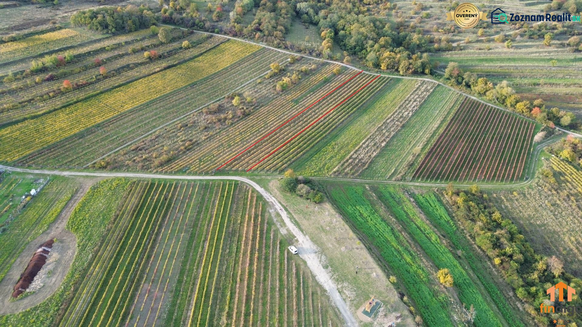 PREDAJ Vinohradu – Pezinok - Letecký pohľad na vinice v Pezinku s jesennými farbami viniča.