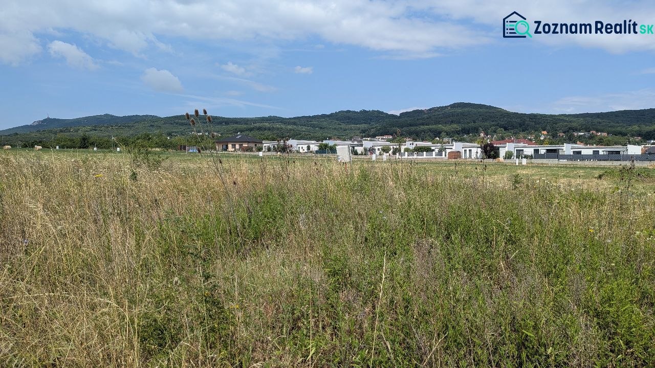 Fotografia 3
