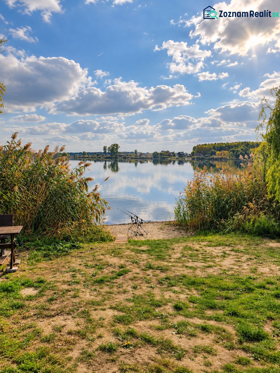Fotografia 7