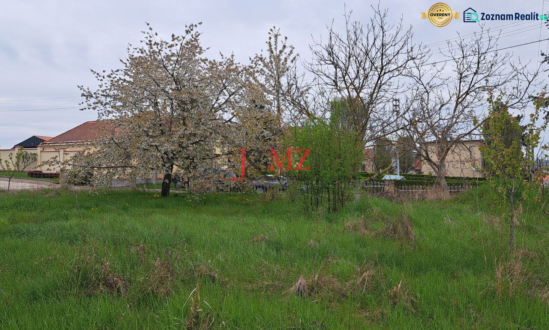 Fotografia 3