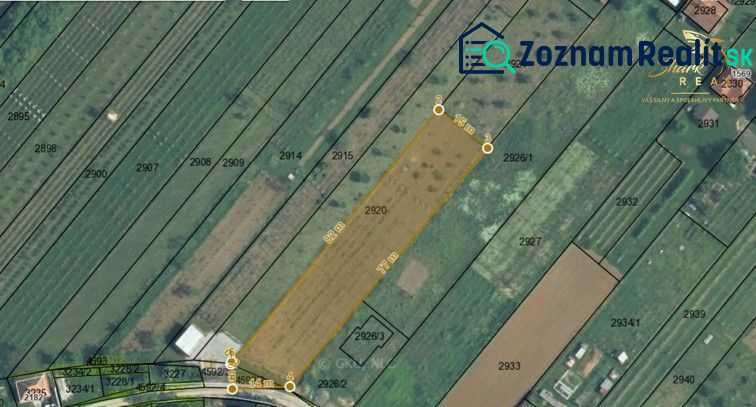 Fotografia 16