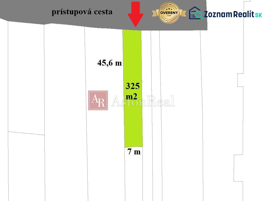 Fotografia 3