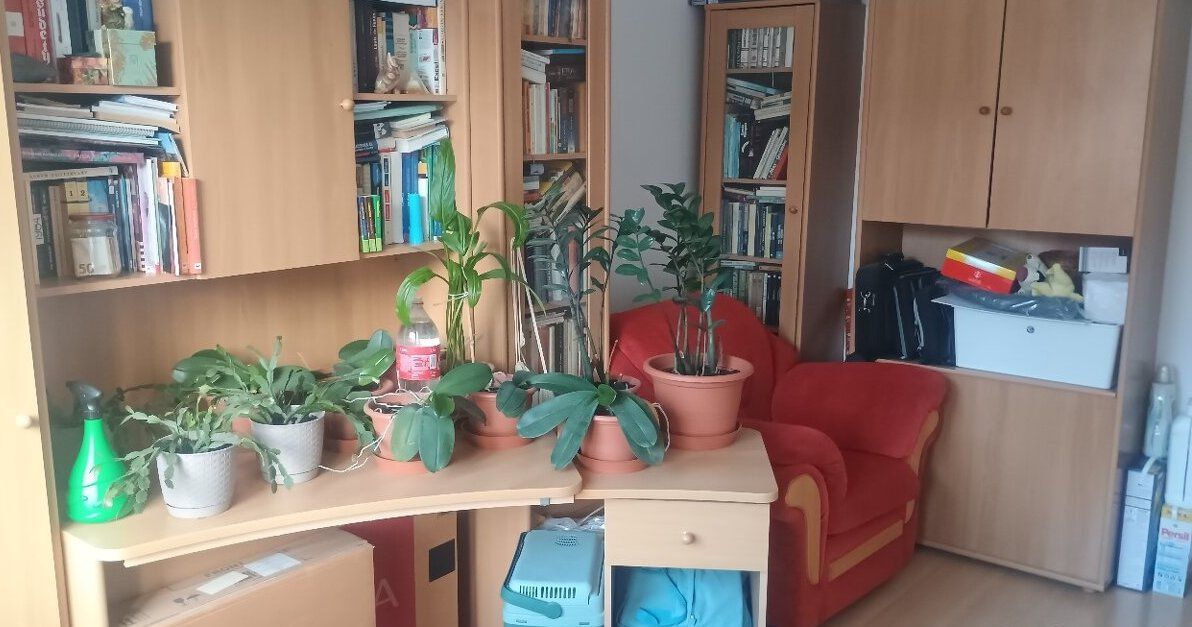 3- izbový byt na ulici Jedľová – foto 2
