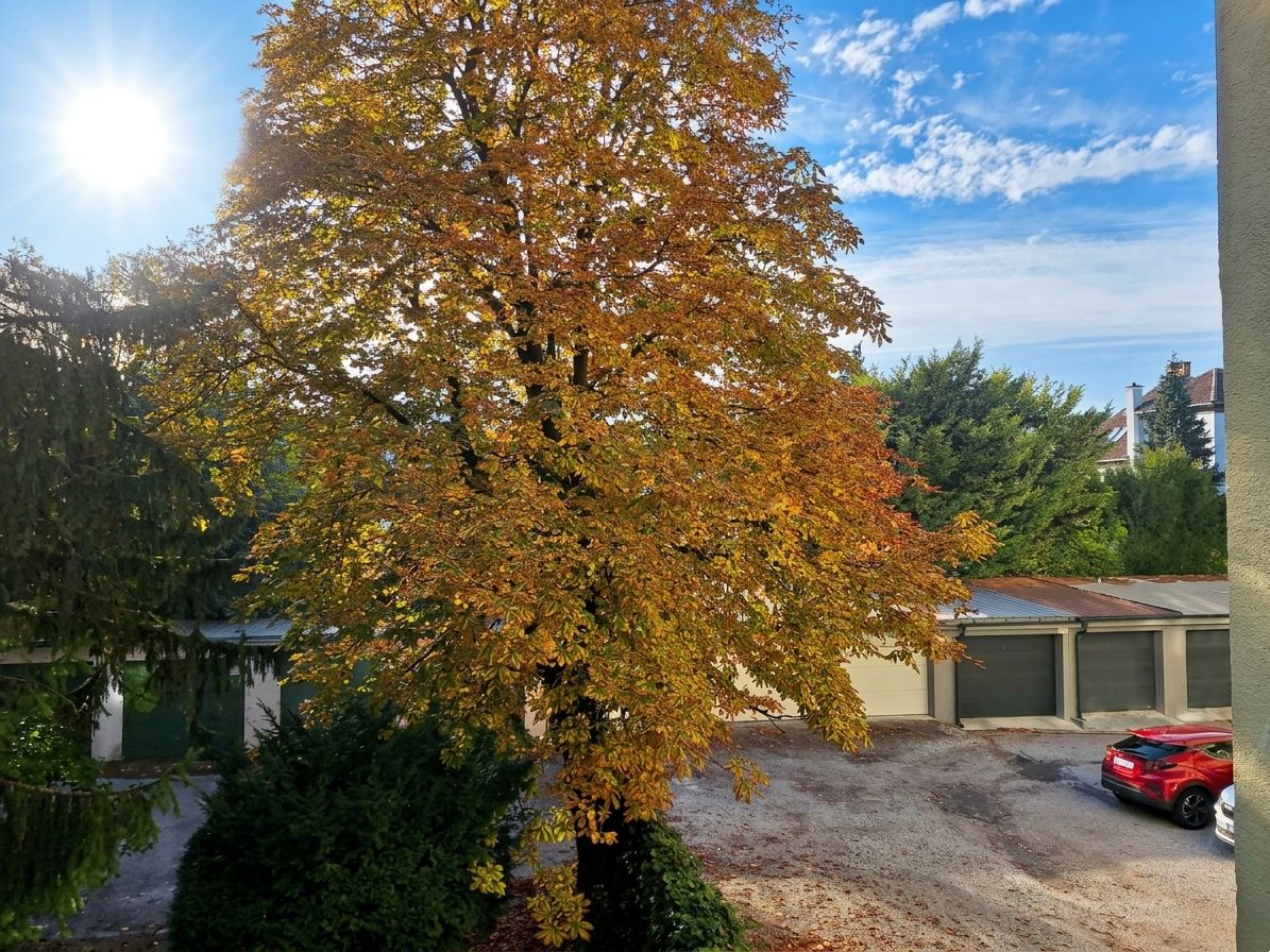Priestranný 2i byt Miletičova – foto 5