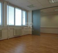 kancelaria-29-90-m2-mlynske-nivy-bratislava-ii-ruzinov-24796.jpg