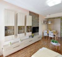 2-izbovy-byt-s-balkonom-BA-Ruzinov-Strkovec-Living-Room.jpg