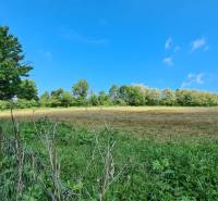 Romantický pozemok s pôvodným domom v obci Hubina - okolie v zadnej časti