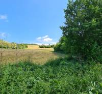 Romantický pozemok s pôvodným domom v obci Hubina - okolie v zadnej časti