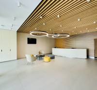 Eurovea: Na prenájom lux., zariadený, 2 byt/eng. text inside - 13