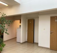 Výrobno-skladový areál, haly /so žeriavmi/, výborná dostupnosť k D1/R1 - 698375_88a8425f9a3bf6d56eba490658bae06c.jpg
