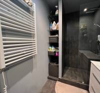 kúpeľňa, sprchovací kút, elektrický radiátor