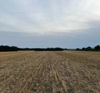 PREDAJ investičného pozemku Senec  - pozemok.jpg