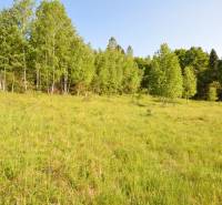 EXKLUZÍVNE stavebný pozemok, Nálepkovo časť Tretí Hámor, okres Gelnica - 23.jpg