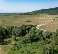 PREDAJ 2 izbového bytu s balkónom Prémiova novostavba Pezinok A0+ - DJI_0940.jpg