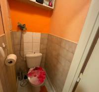 Na predaj 3 izbový byt na prízemí v centre mesta Šahy. - IMG_1422.jpeg