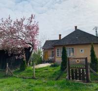 Rodinný dom na predaj Kolárovo časť Pačerok,  Sabina Hupschova Durcovic, Danubioreal Komárno
