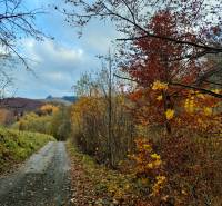 Predaj: Drevenica s veľkým pozemkom v Terchovej-časť Šípková (MO) - Drevenica Šípková Terchová