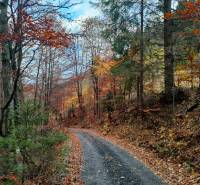 Predaj: Drevenica s veľkým pozemkom v Terchovej-časť Šípková (MO) - Drevenica Šípková Terchová