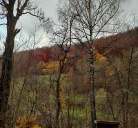 Predaj: Drevenica s veľkým pozemkom v Terchovej-časť Šípková (MO) - Drevenica Šípková Terchová