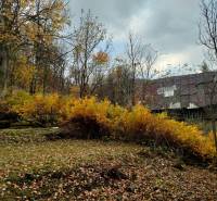 Predaj: Drevenica s veľkým pozemkom v Terchovej-časť Šípková (MO) - Drevenica Šípková Terchová