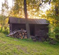 Predaj: Drevenica s veľkým pozemkom v Terchovej-časť Šípková (MO) - Drevenica Šípková Terchová