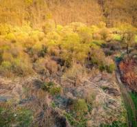 Muľa - 1.781 m2 POZEMOK V OBCI - Na predaj - mula3.jpeg