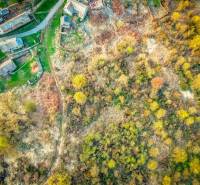 Muľa - 1.781 m2 POZEMOK V OBCI - Na predaj - mula11.jpeg