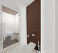 2izbový byt v AL RAHA Lofts 2 - Abu Dhabi (Type Studio) - 09 1BR TYPE G TOILET.jpg