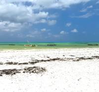 APARTMÁN NA PREDAJ V PAJE, ZANZIBAR - IMG_5416.jpg