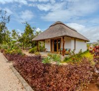 ZARIA GARDEN BUNGALOWS - Rodinný dom so slamenou strechou, obklopený kvetmi a zeleňou, s dláždeným chodníkom.