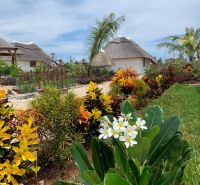 ZARIA GARDEN BUNGALOWS - Tropický záhradný dizajn s bungalovmi a exotickými rastlinami, Výstavba domov.