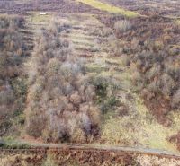  Stavebné pozemky 11 558 m² v atraktívnej lokalite Častá – Píla - Lúka s roztrúsene vyrastenými stromami vhodná na pozemky na bývanie v Častej.
