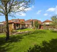 Priestranný 7-izbový dom na skok od centra – Senec - Záhrada rodinného domu v Senci s udržiavaným trávnikom a niekoľkými stromami.